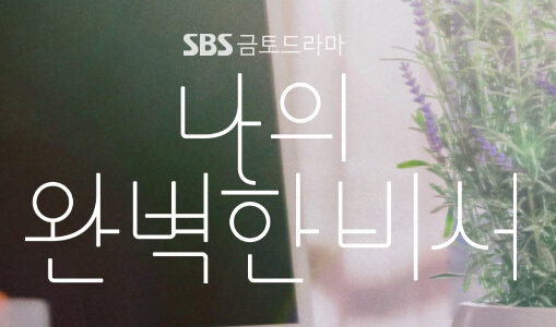 나의완벽한비서