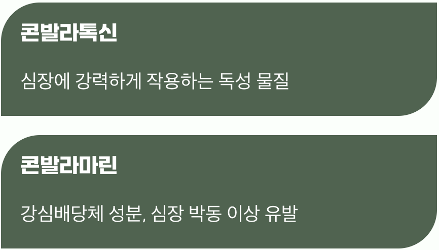 무엇이 그렇게 위험할까요?