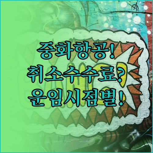 중화항공 예약 취소 수수료 운임별 시..