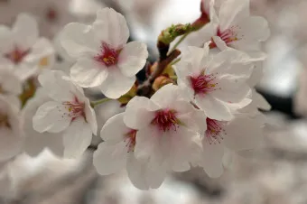 손자병법 작전편 전쟁 국력 역사_17