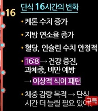 휴가 전 간헐적 단식 2주 플랜
