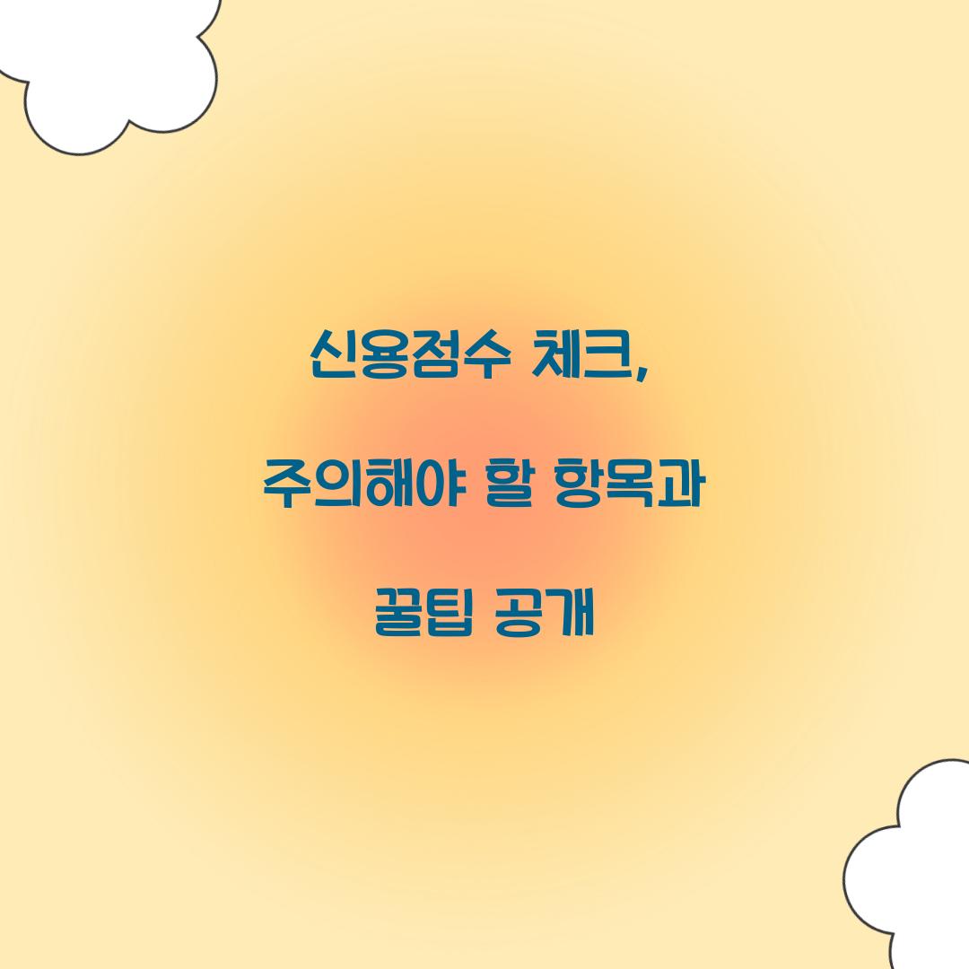 신용점수 체크
