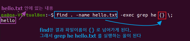 파일exec