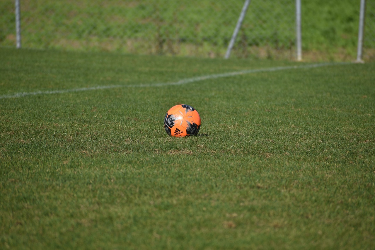 호날두 네이션스리그 우승