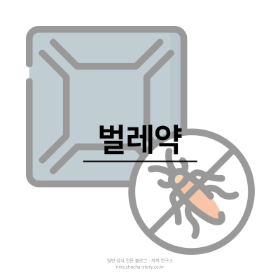 원룸-자취방-구하기-벌레약이-많진-않은지