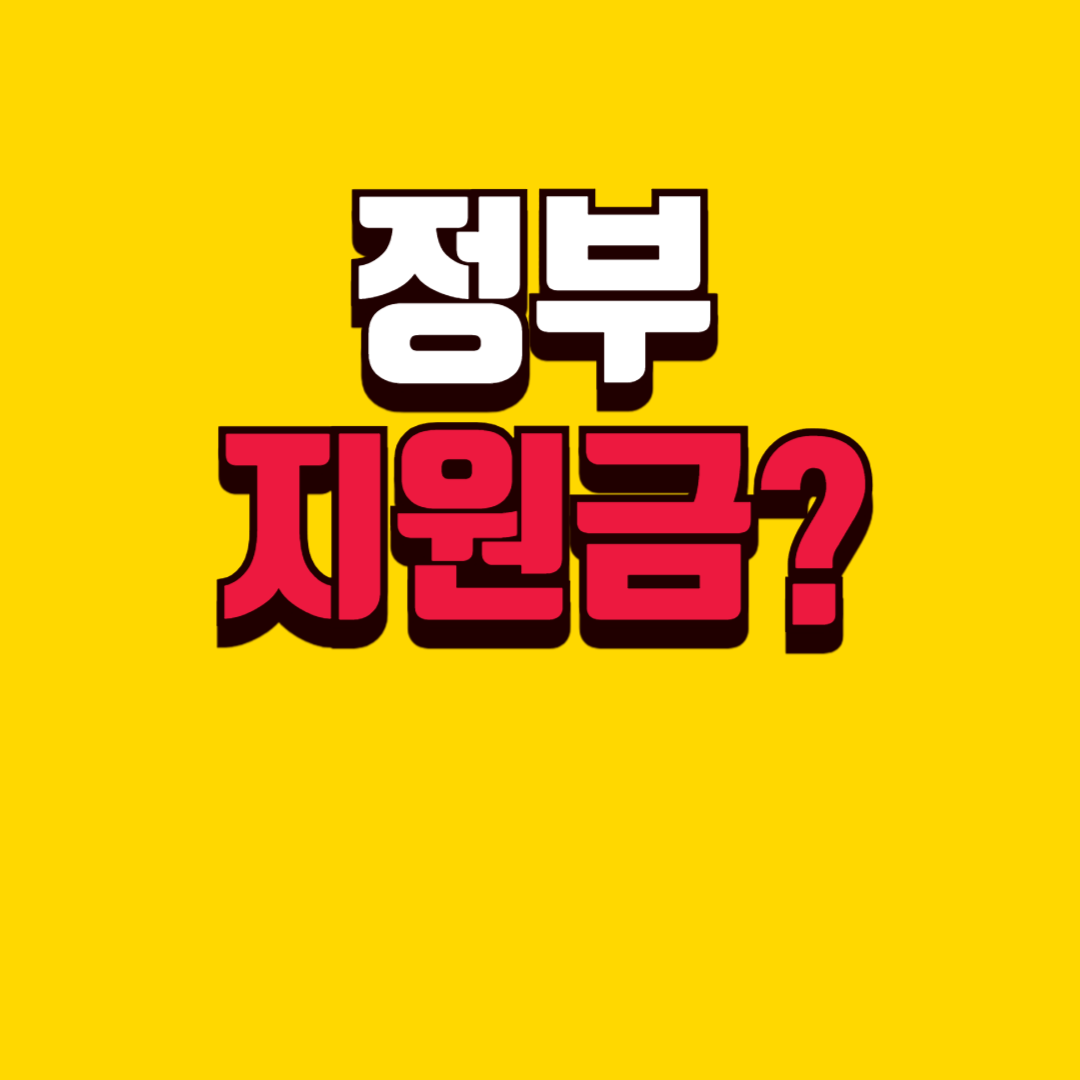 정부지원금이란?