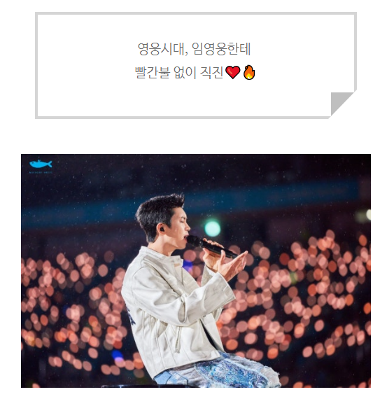 임영웅 공연사진