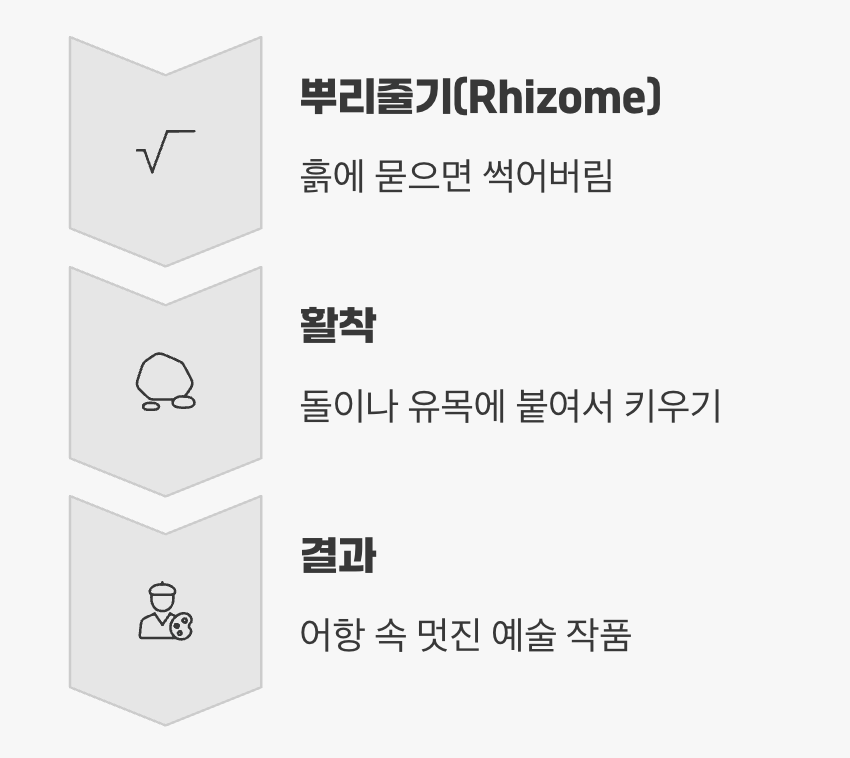 심지 말고 붙이세요&amp;#44; 활착의 즐거움