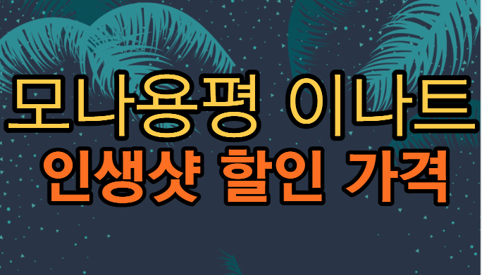 모나용평 이나트