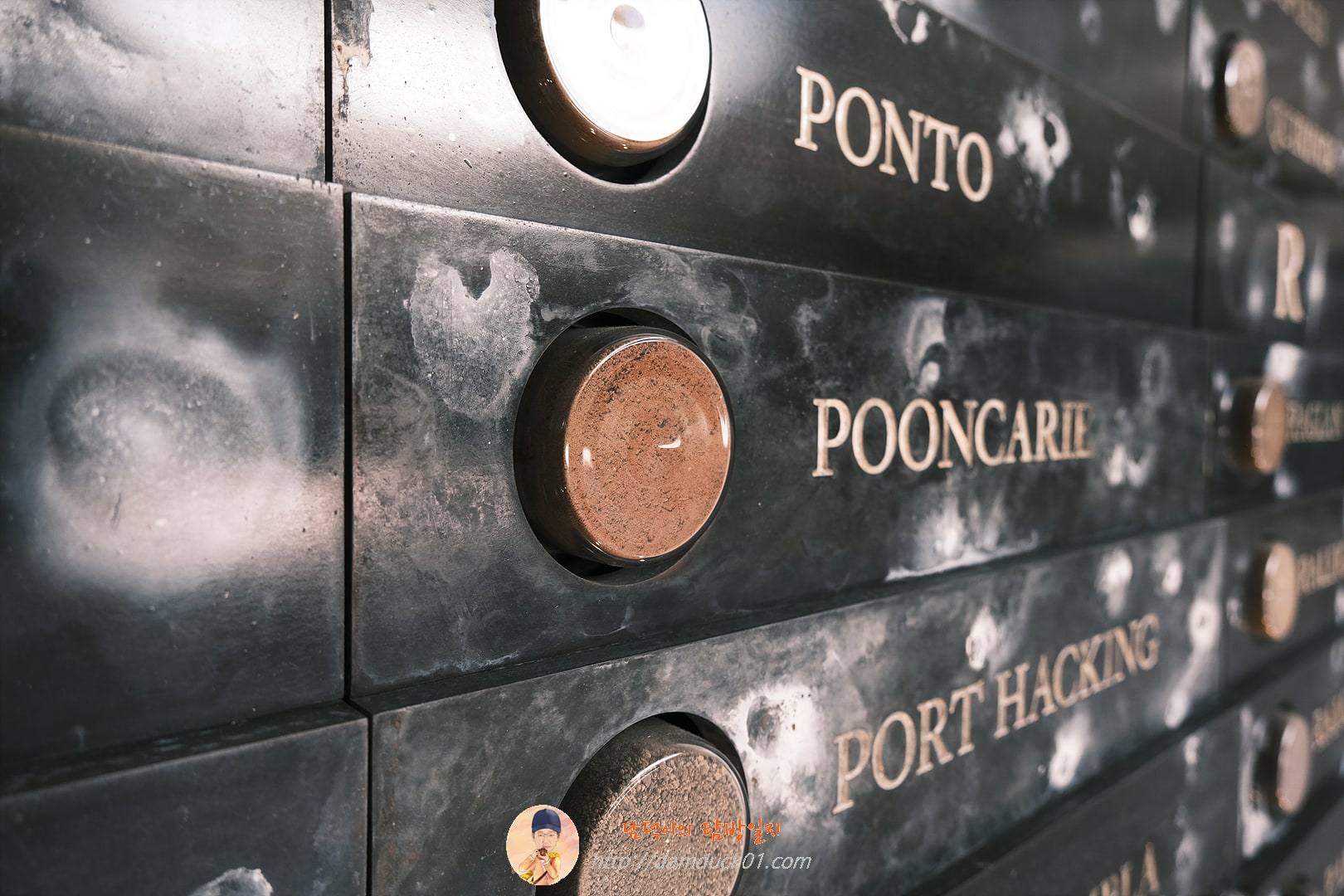 앤잭 전쟁 기념관 (ANZAC MEMORIAL)