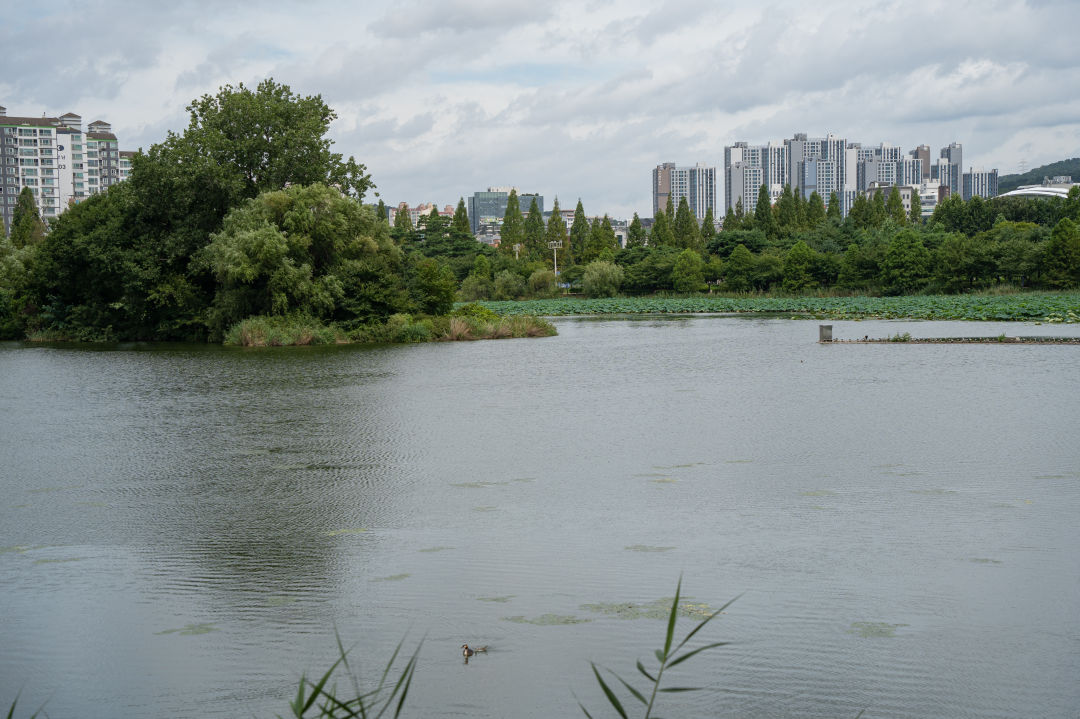 만석공원 만석거