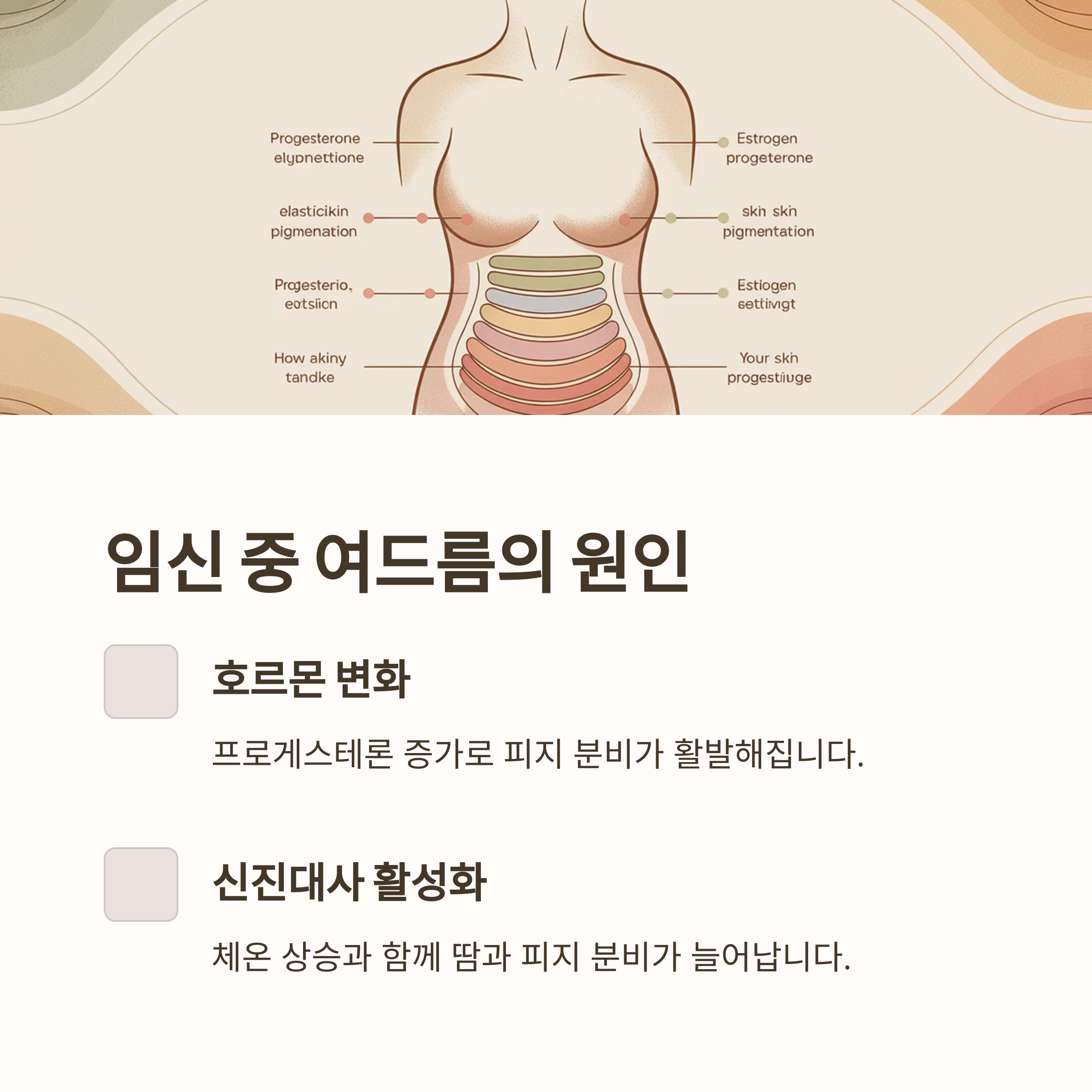 임신 중 여드름 &ndash; 호르몬 변화 원인 설명