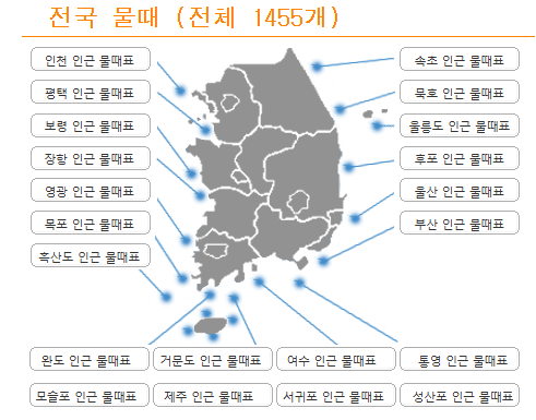 물때표 보는 방법(바다타임)