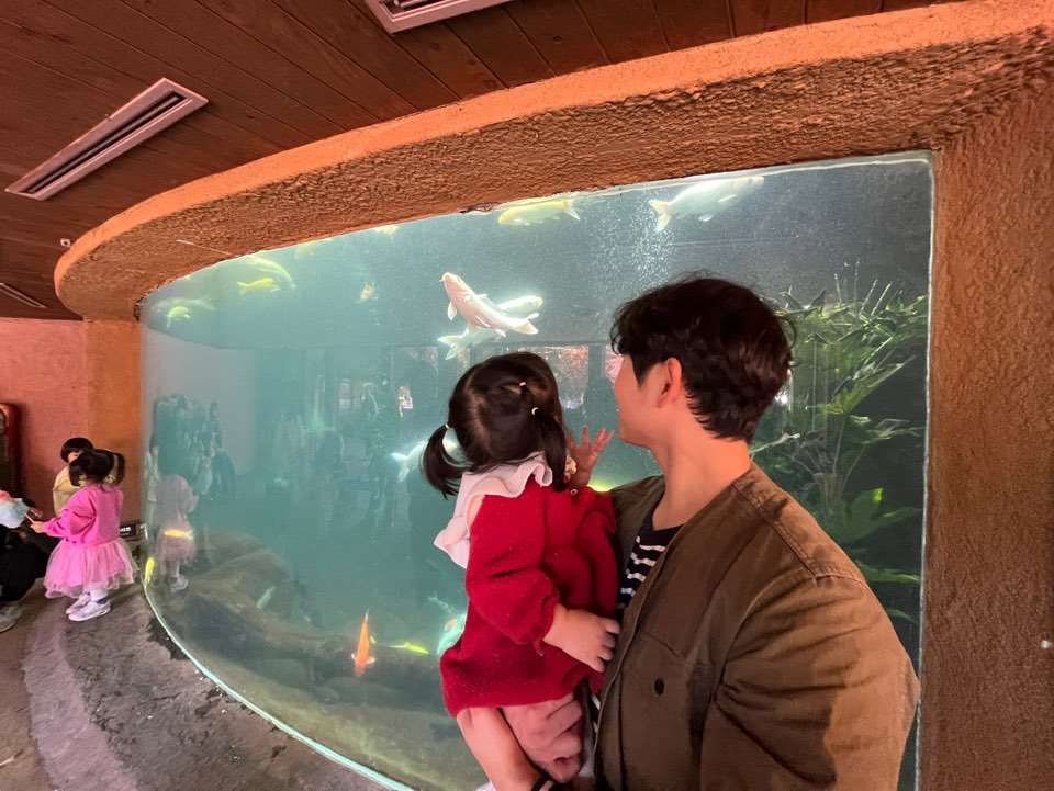 에버랜드 동물원