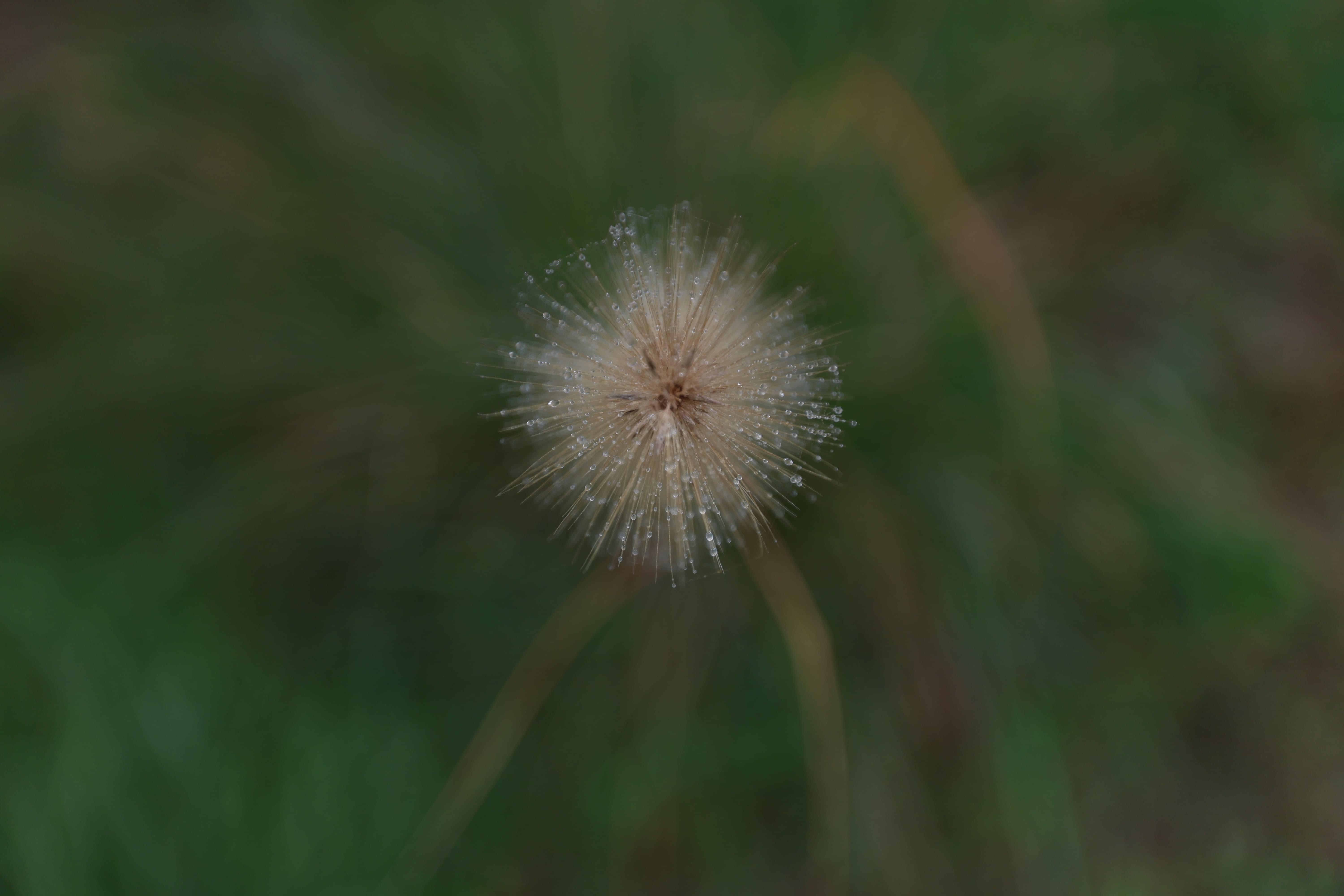 온천과 명상으로 재충전 – 경남 웰니스 여행 코스 추천