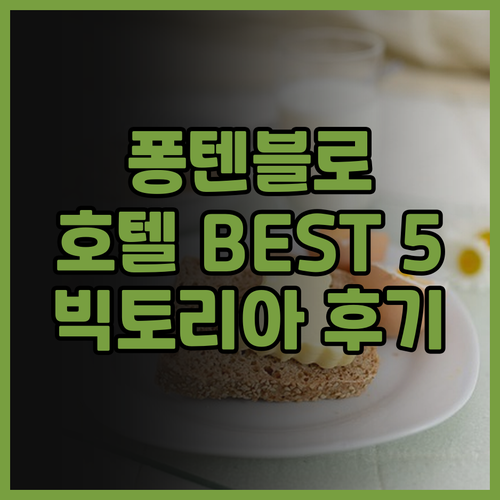 프랑스 퐁텐블로 호텔 BEST 5 T