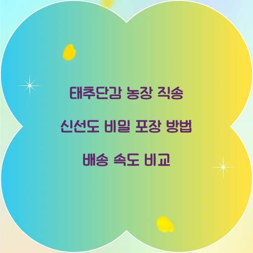 태추단감 농장 직송