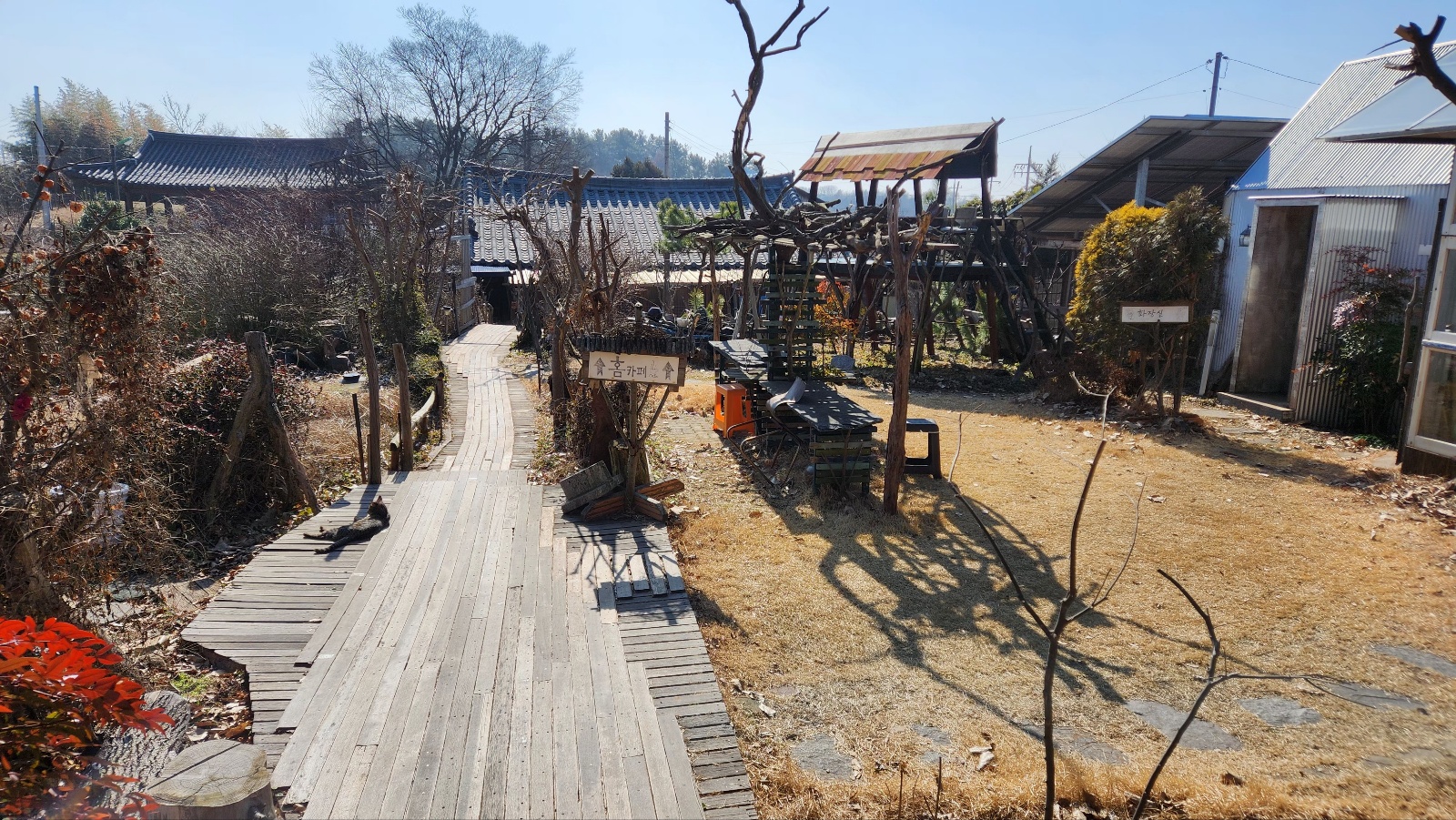 미즈노씨네트리하우스