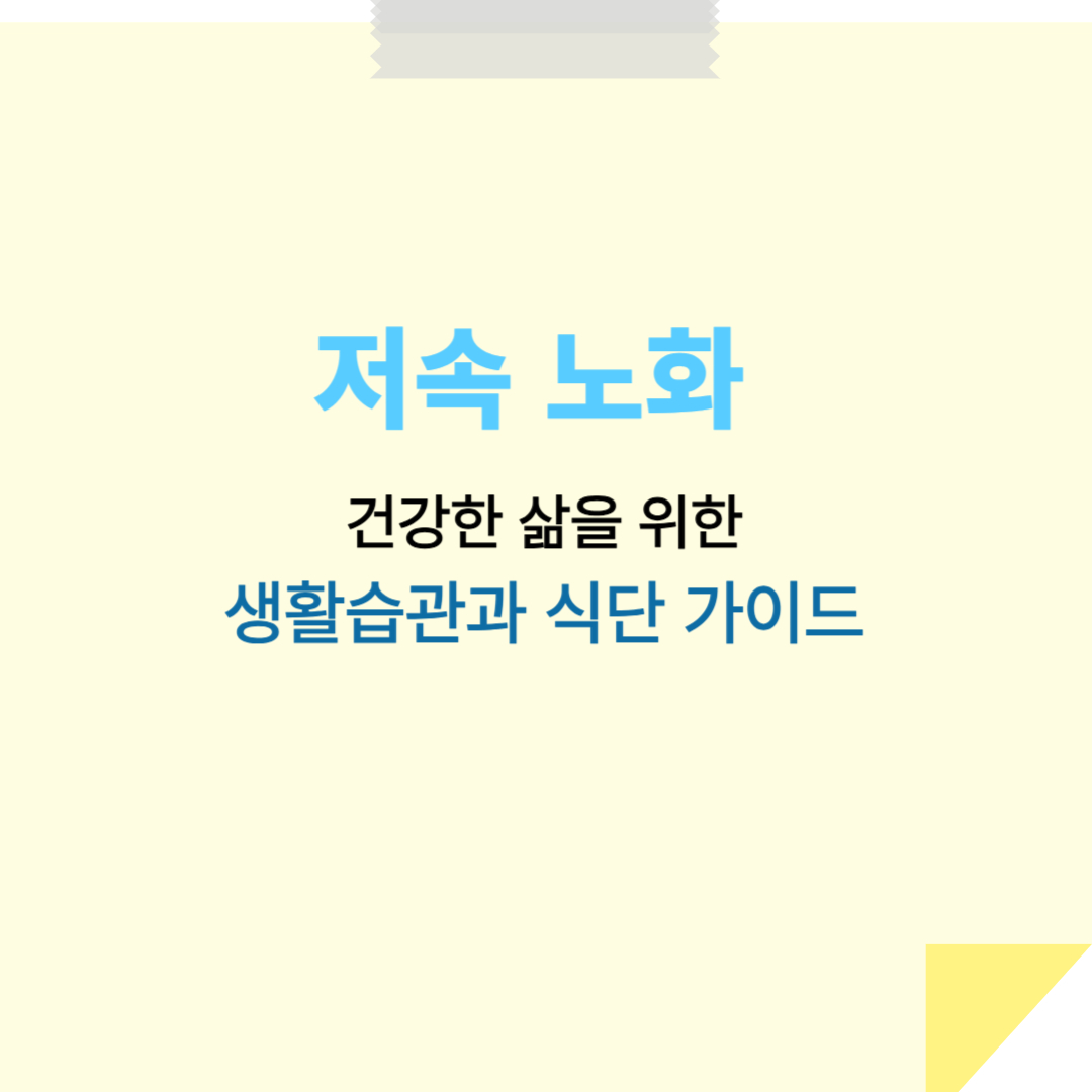 저속 노화: 건강한 삶을 위한 생활습관과 식단 가이드
