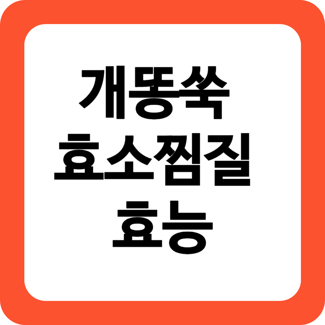 개똥쑥 효소찜질 효능