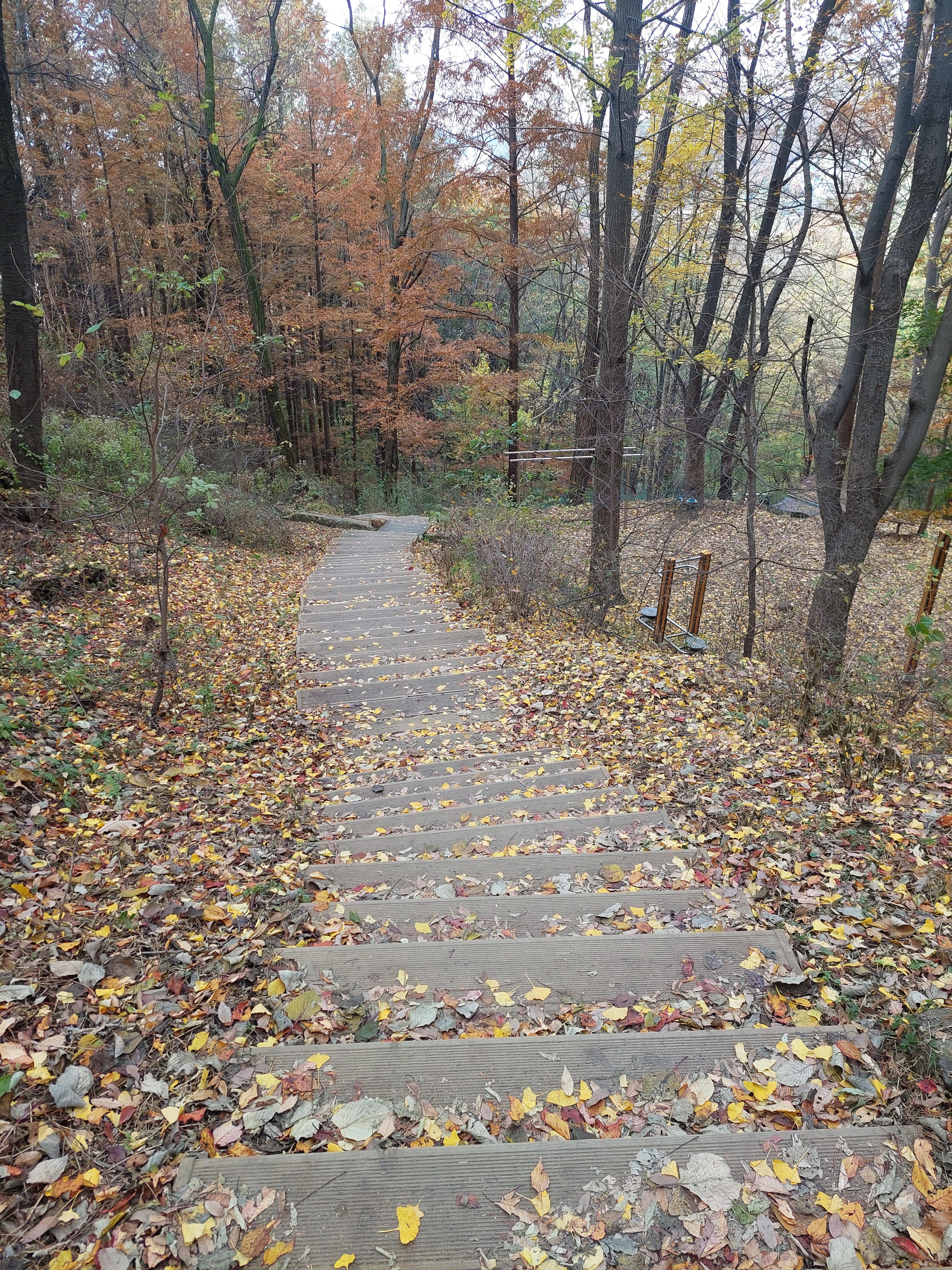 안산