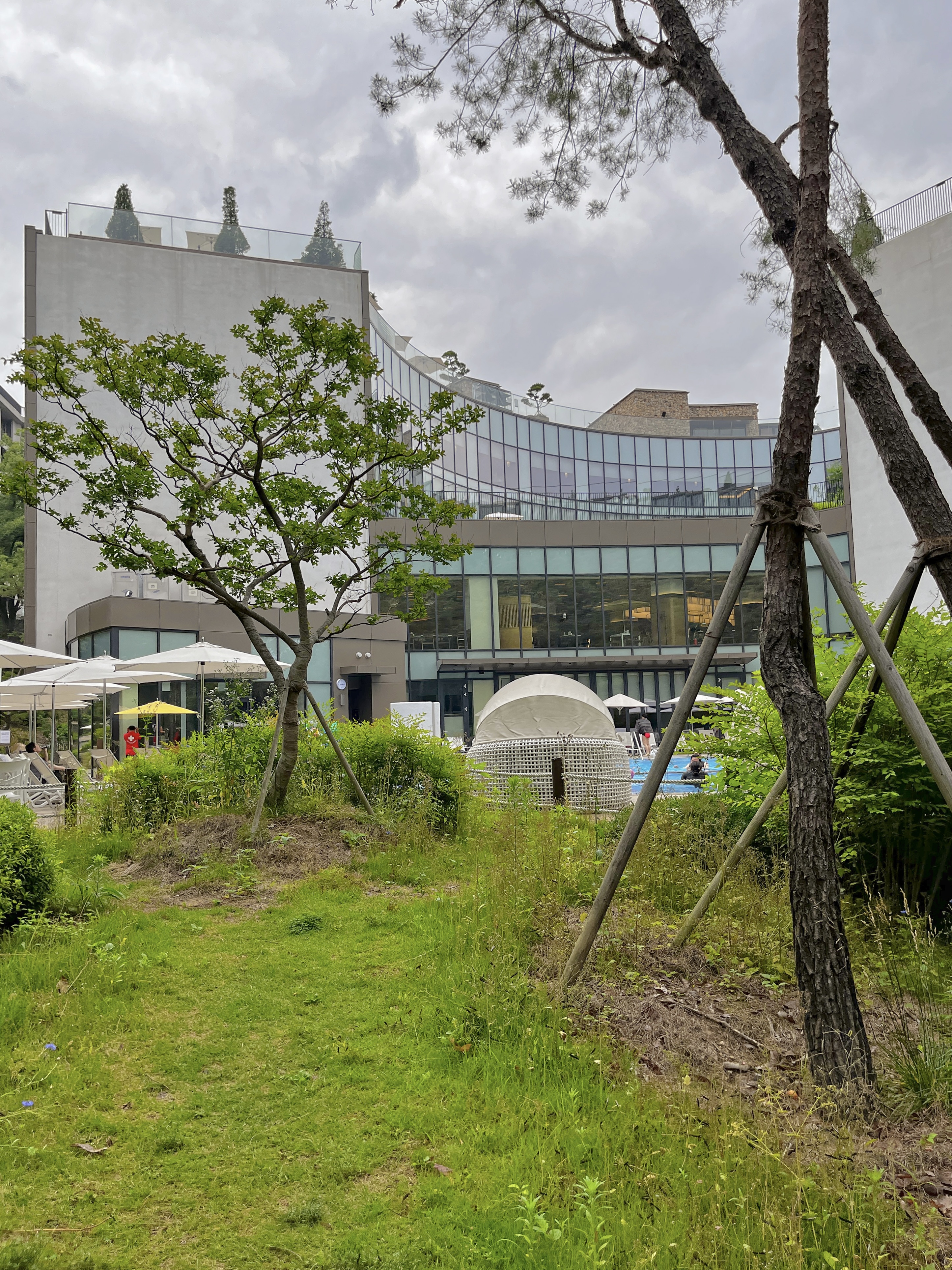 파라스파라서울