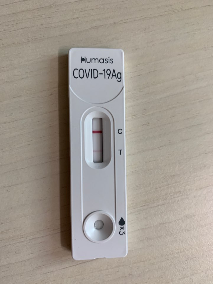 자가진단키트 목에다 한 후기