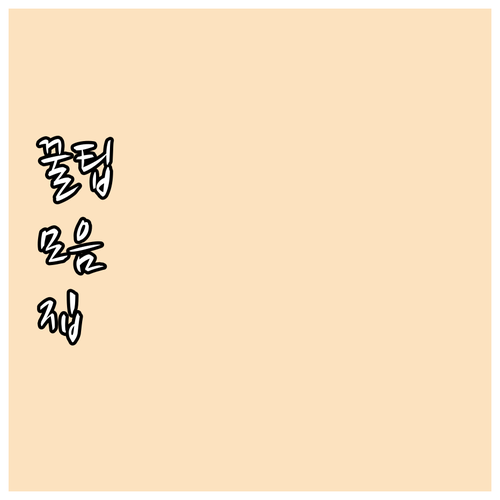 광주 2025 최중증 통합돌봄 3가지..