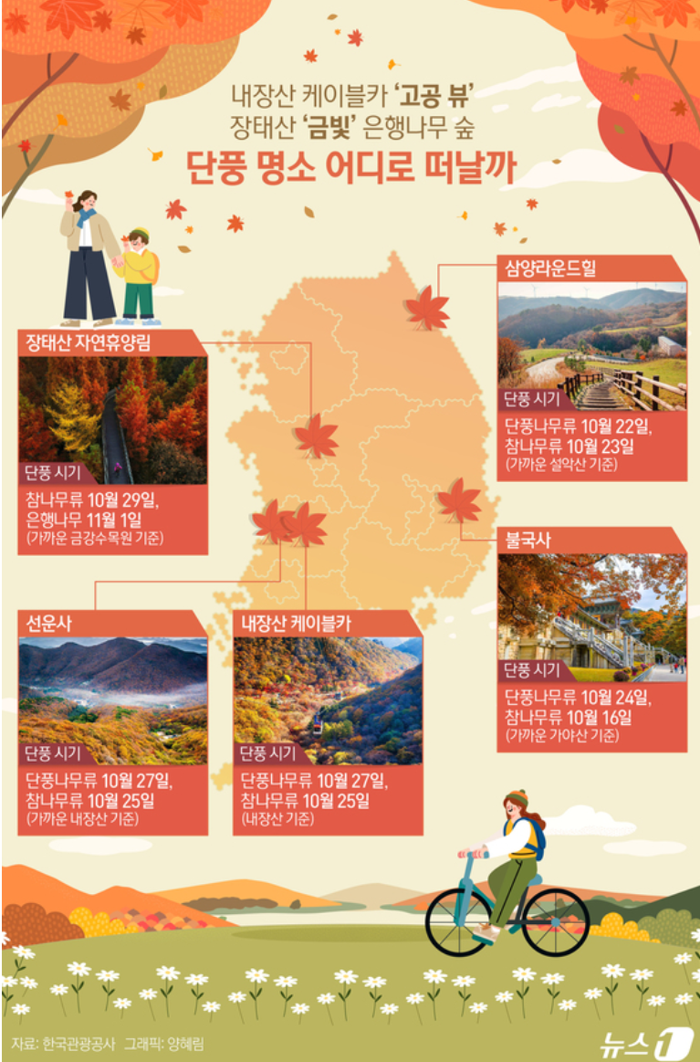 단풍 인포그래픽