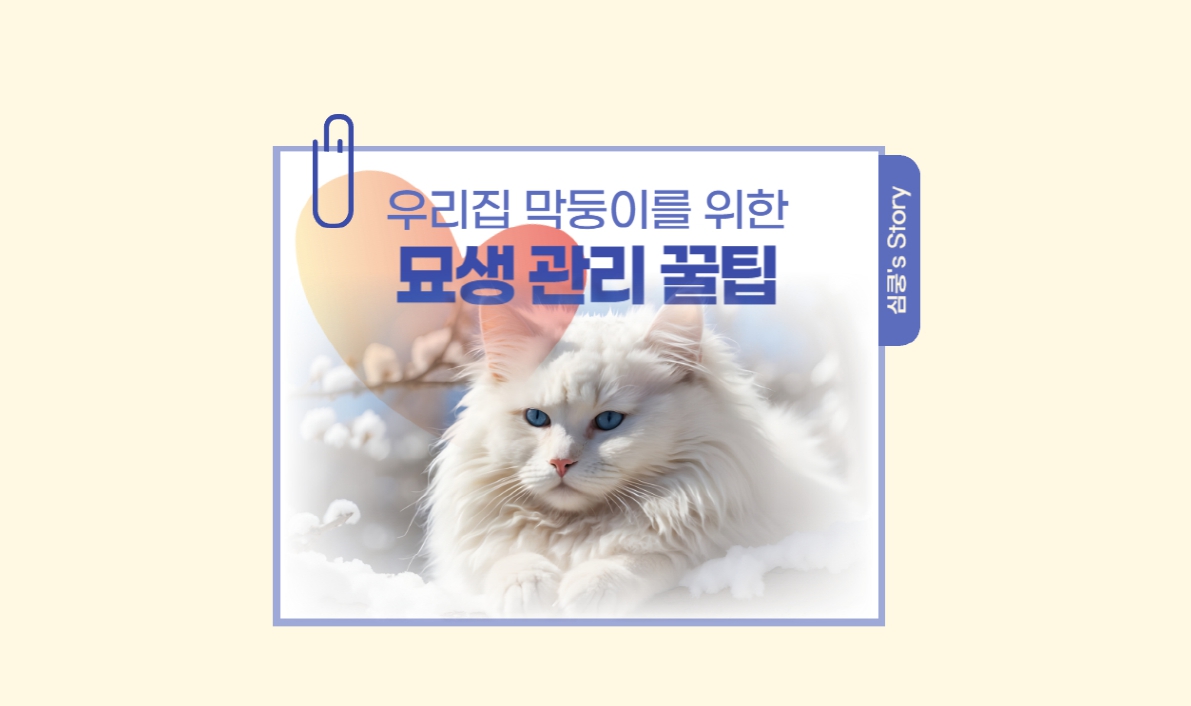 고양이 알레르기와 식단 조절