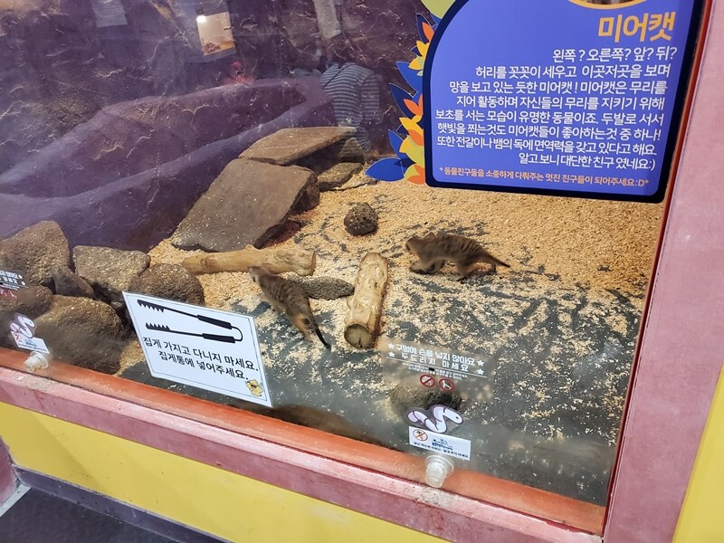 하이브실내동물원