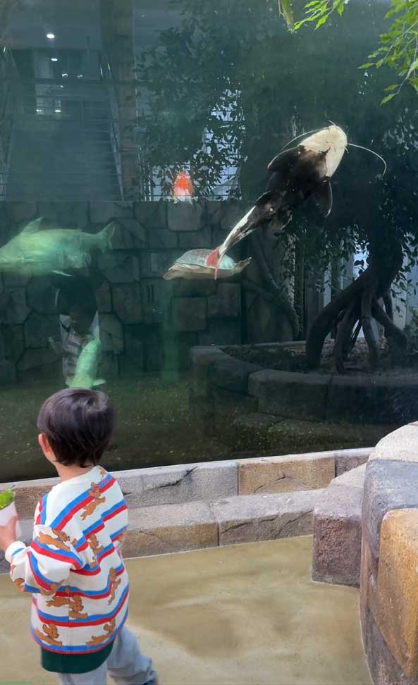 오산버드파크-수족관