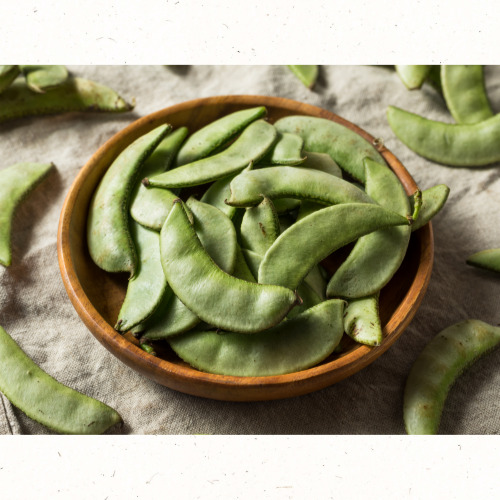 아침 반찬으로 좋은 여름 계란찜