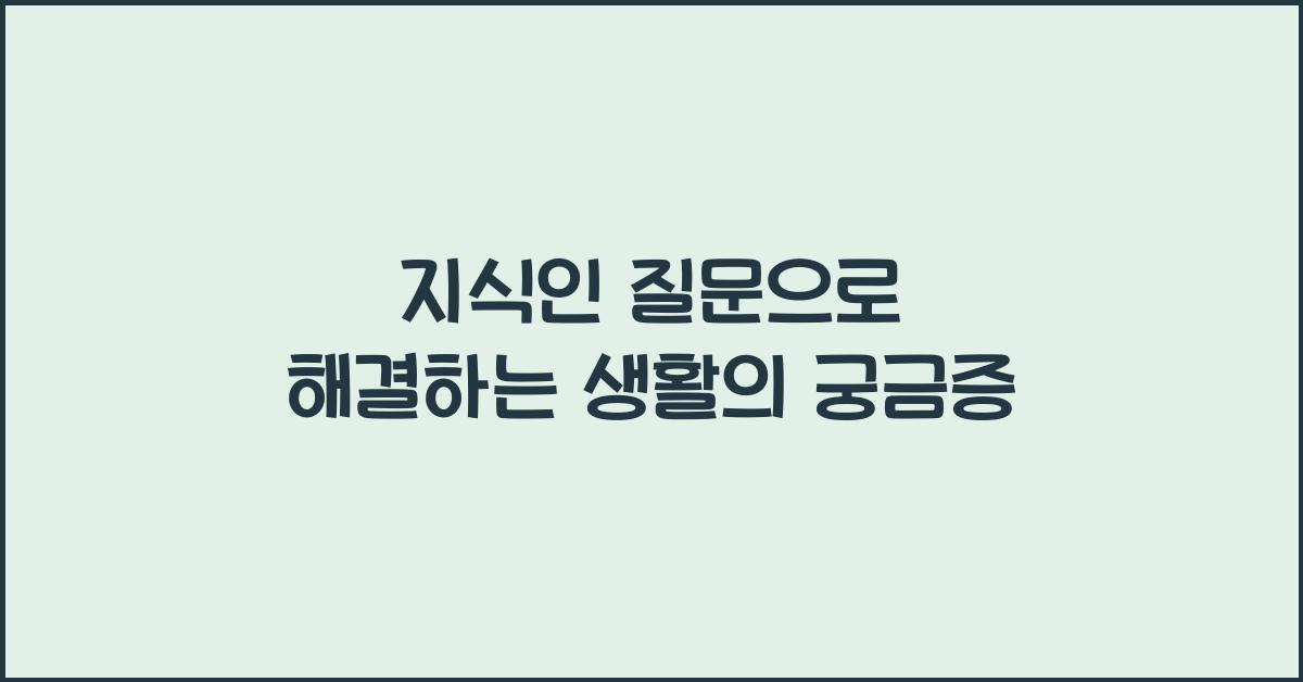 지식인 질문