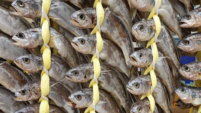 영광 굴비와 보리 &ndash; 농업과 어업이 결합한 지역 특산물 스토리