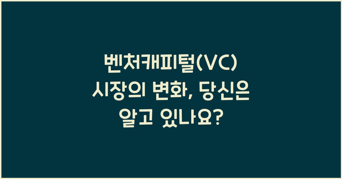 벤처캐피털(VC)