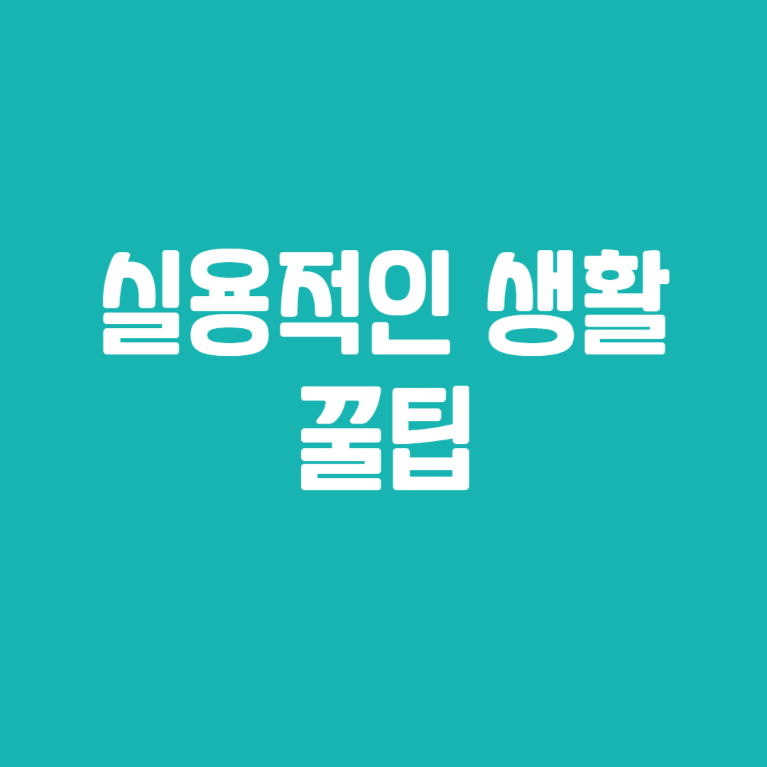 실용적인 생활 꿀팁