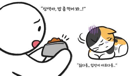 고양이 구내염