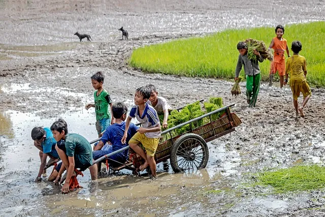 주휴수당 계산기