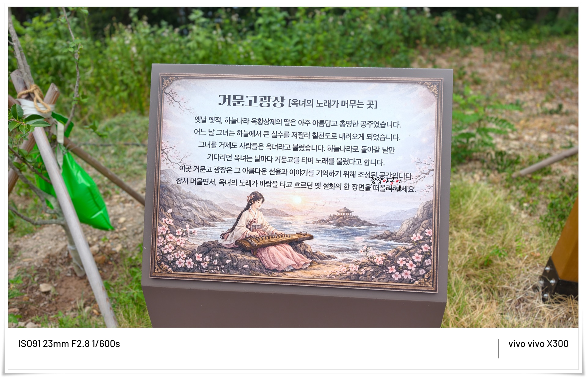 거문고광장 유래
