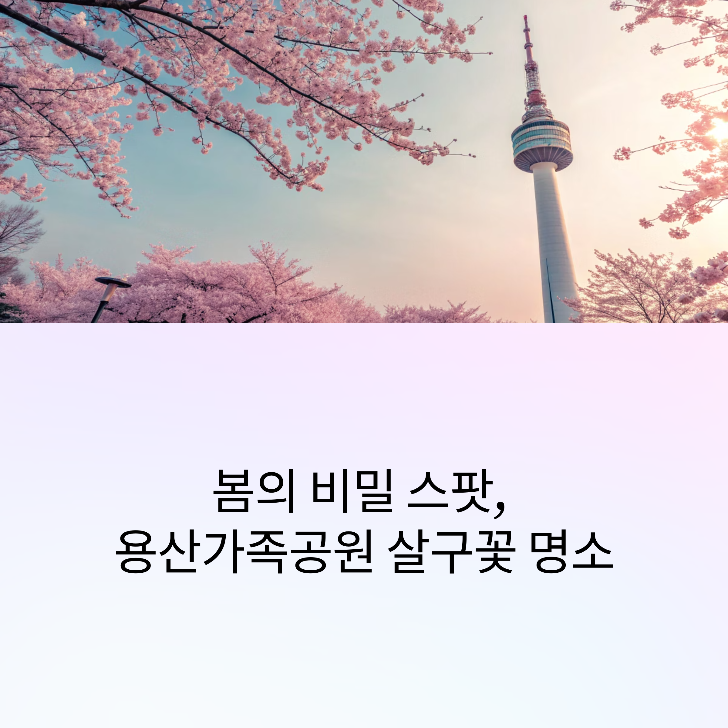 용산가족공원 살구꽃 개화시기와 사진 스팟 완전 정복