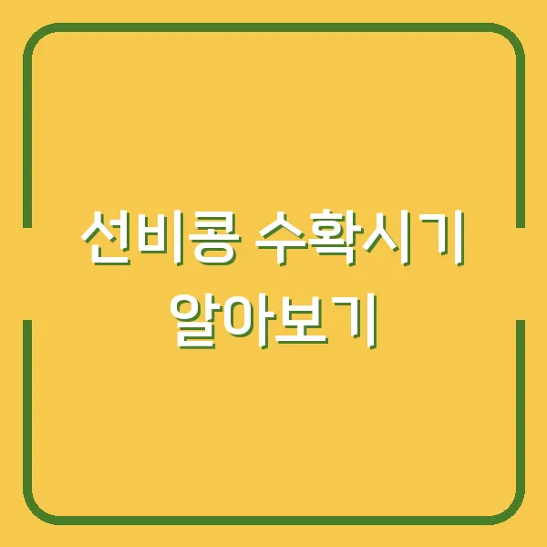 선비콩 수확시기 알아보기