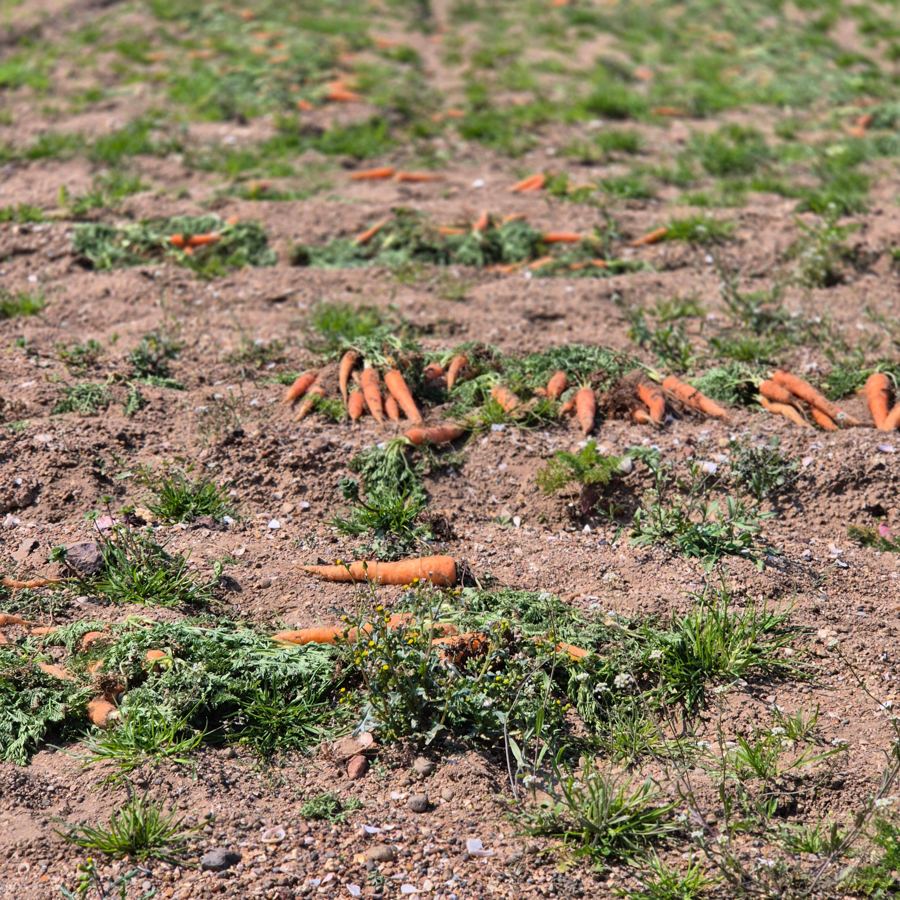 생활비 절약 팁