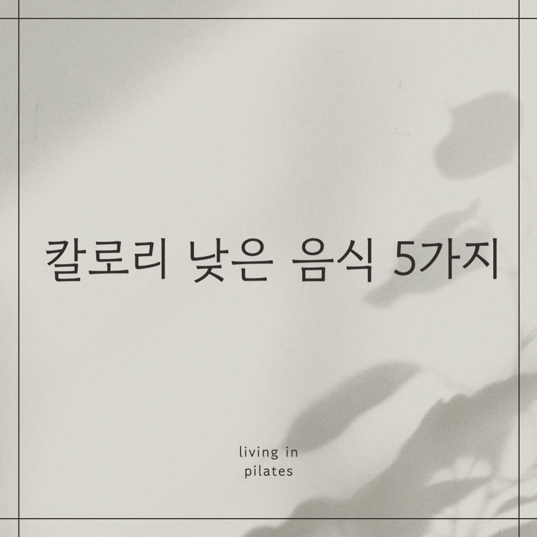 칼로리 낮은 음식 5가지