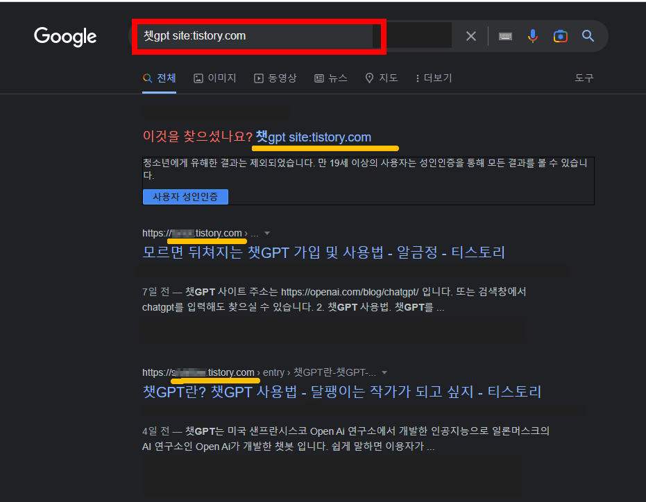 검색에서 티스토리나 네이버만 보기