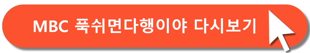 푹쉬면다행이야다시보기