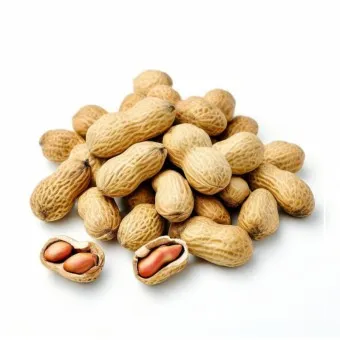 땅콩 칼로리 영양성분 과다섭취 부작용_10