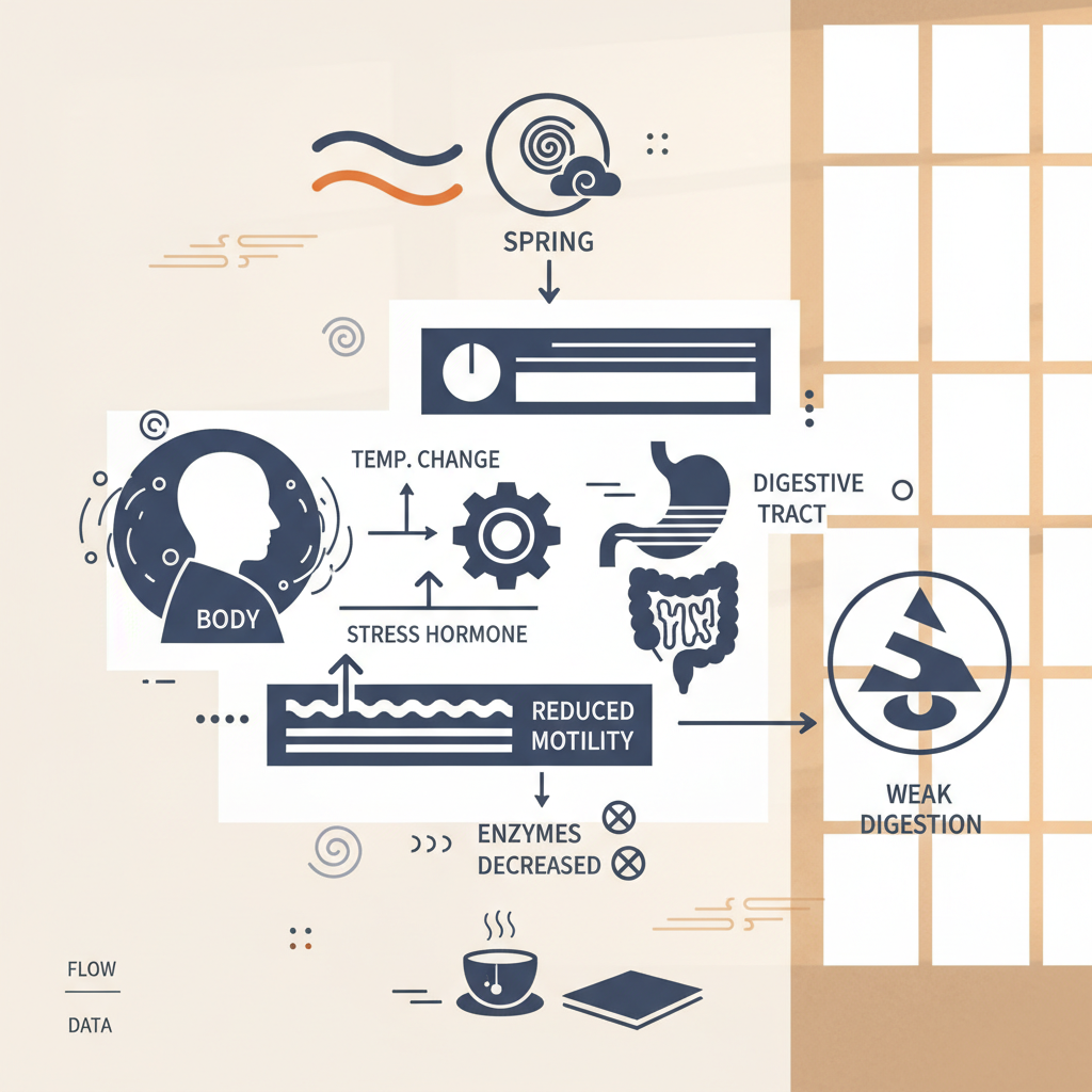 図1 気温差が大きい春季における高齢者の消化機能低下の仕組みに関する統計・生理メカニズム・対策を示す政策リポート用インフォグラフィック