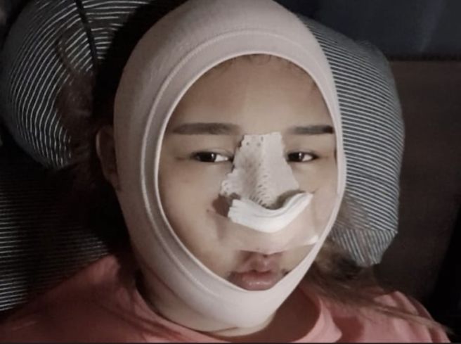 풍자 프로필