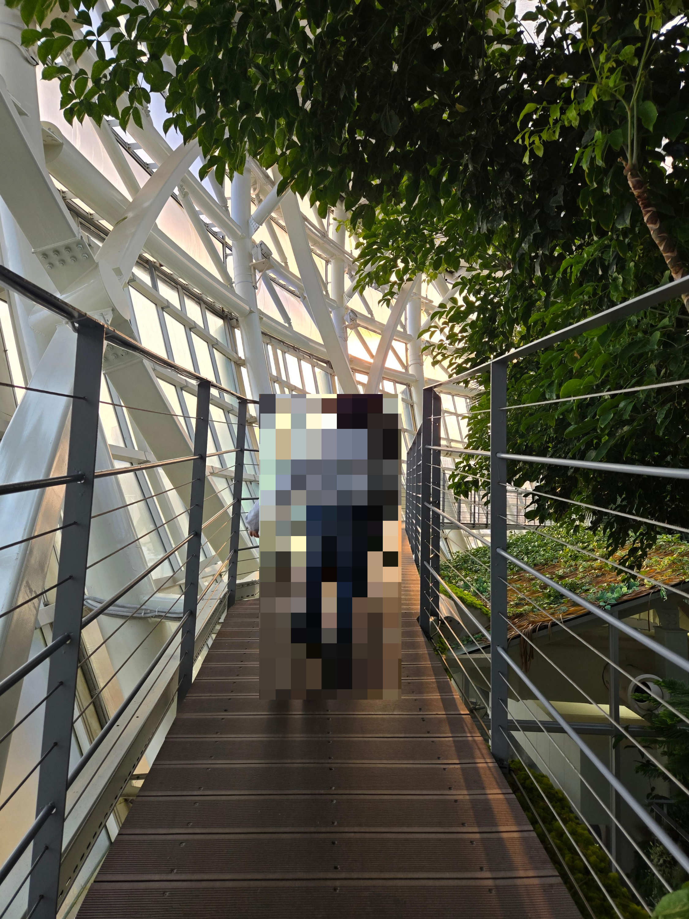 부천수피아식물원카페